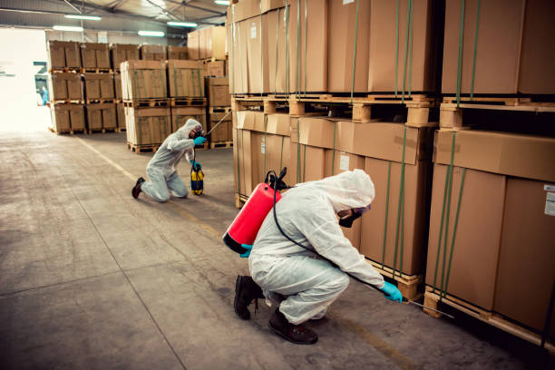 Best Emergency Pest Control  in Panora, IA