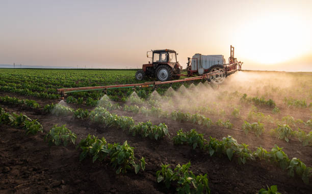 Best Cockroach Control Services  in Panora, IA