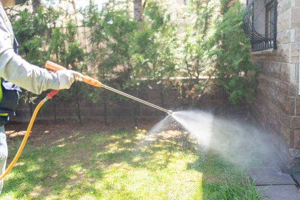 Best Pest Prevention Services  in Panora, IA
