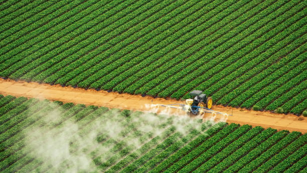 Best Exterminator Services  in Panora, IA