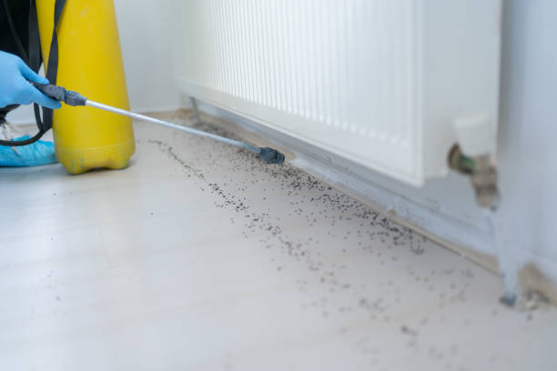 Best Residential Pest Control  in Panora, IA