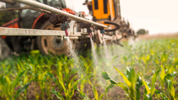 Best Affordable Pest Control Services  in Panora, IA